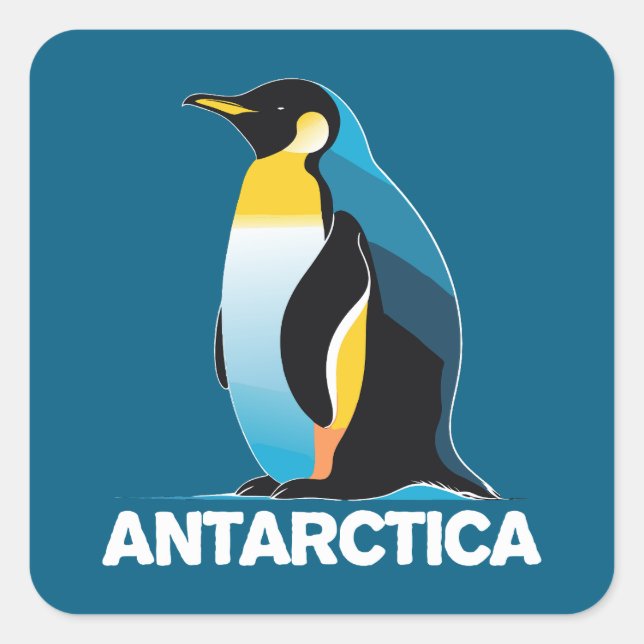 Pegatina Cuadrada Pingüino Antártico (Anverso)