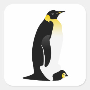 Pegatina Cuadrada Pingüino con su bebé