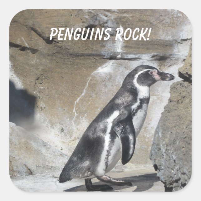 Pegatina Cuadrada Pingüino genial (Anverso)