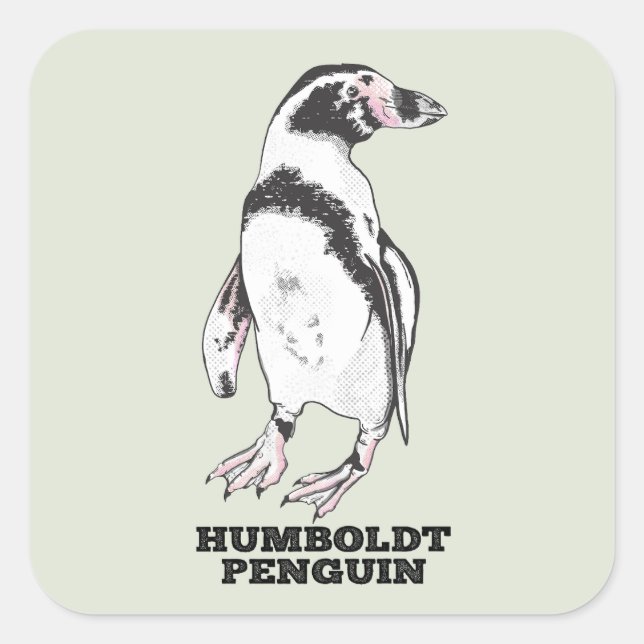 Pegatina Cuadrada Pingüino Humboldt (Anverso)