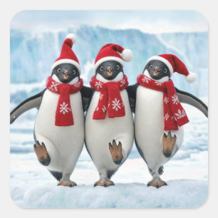 Pegatina Cuadrada Pingüinos de Navidad bailando en glaciar ártico