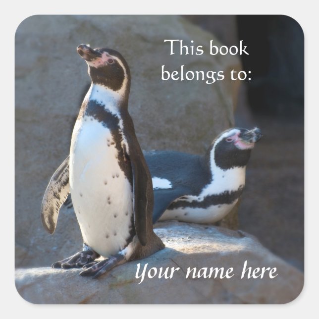 Pegatina Cuadrada Pingüinos Humboldt "Este libro le pertenece" Pegat (Anverso)