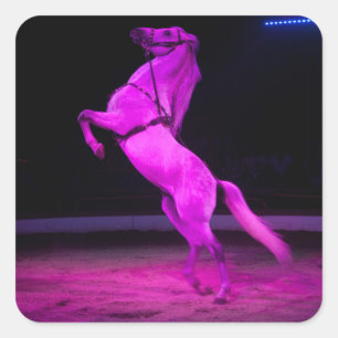 Pegatina Cuadrada Pink Circus Horse
