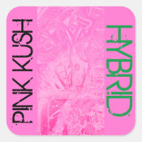 PINK KUSH HYBRID