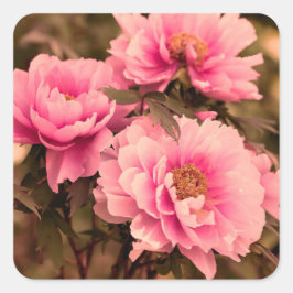 Pegatina Cuadrada Pink  Peony Flower