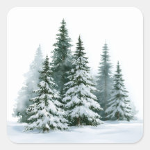 Pinos de Invierno