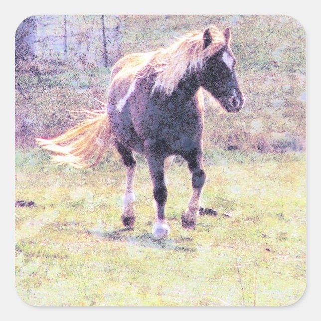 Pegatina Cuadrada Pinto Pony (Anverso)