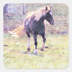 Pegatina Cuadrada Pinto Pony