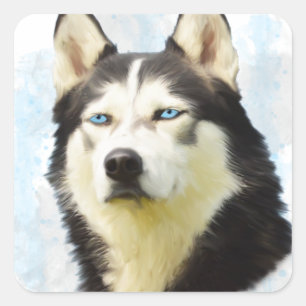 Pegatina Cuadrada Pintura artística en acuarela de perro Husky Siber