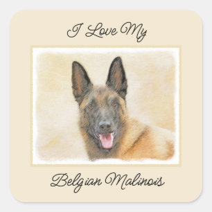 Pegatina Cuadrada Pintura belga malinois - Arte de perro original
