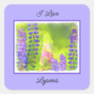 Pegatina Cuadrada Pintura de Lupine - Arte original de las flores