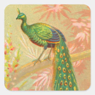 Pegatina Cuadrada Pintura de pavo real y flores