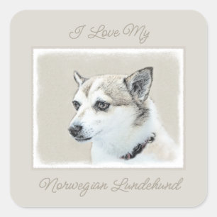 Pegatina Cuadrada Pintura noruega de Lundehund - Plaza original de a
