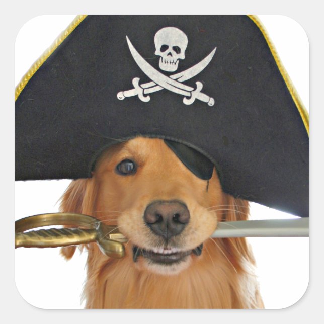 Pegatina Cuadrada Pirata Golden Retriever Halloween (Anverso)