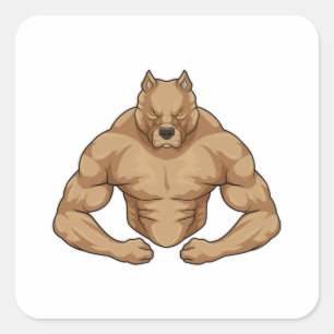 Pegatina Cuadrada Pitbull como el caso de Bodybuilder