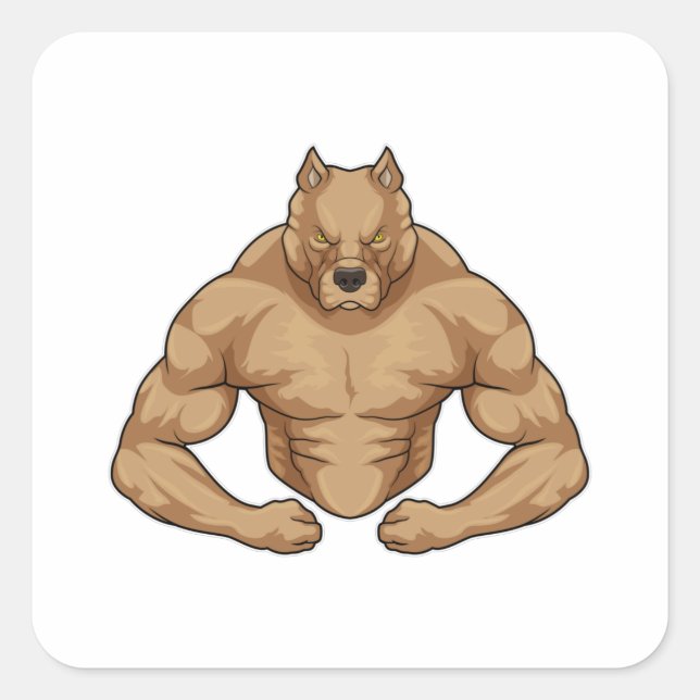 Pegatina Cuadrada Pitbull como el caso de Bodybuilder (Anverso)