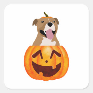 Pegatina Cuadrada Pitbull Halloween