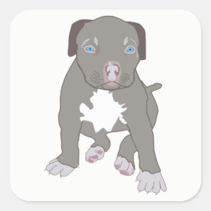 Pegatina Cuadrada Pitbull Puppy
