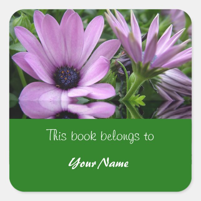 Pegatina Cuadrada placa de libro, flores de margarita morada (Anverso)