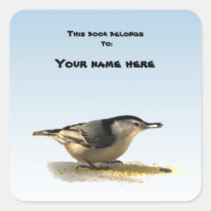 Pegatina Cuadrada Placa de marcadores de nuthatch de pana blanca