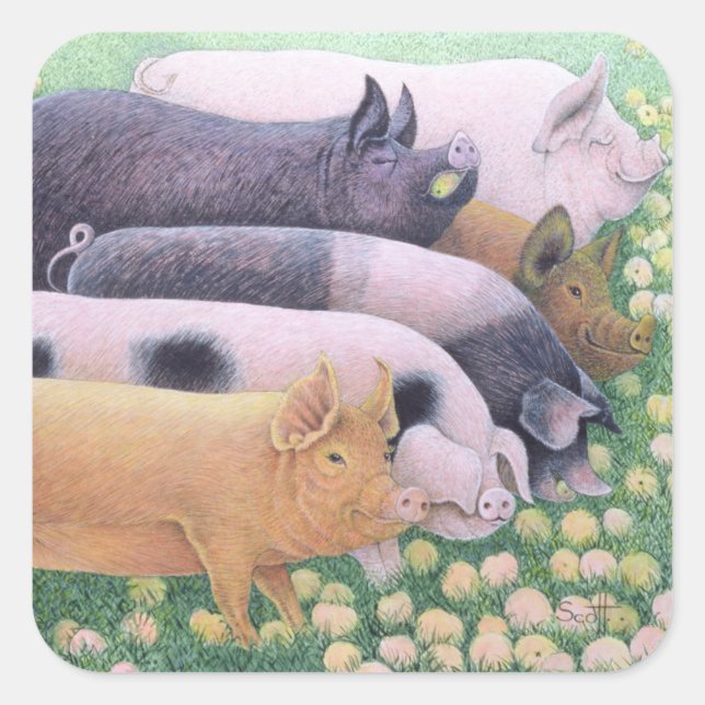 Pegatina Cuadrada Placer (Anverso)