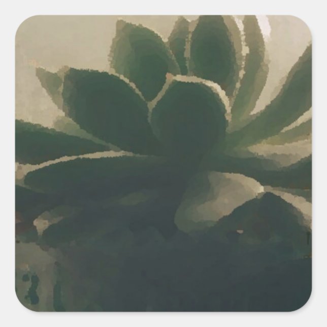 Pegatina Cuadrada Planta (Anverso)