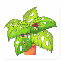 Planta con Lady Bugs