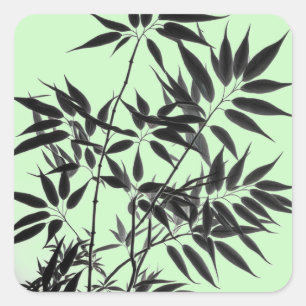 Pegatina Cuadrada Planta de bambú verde negro y blanco