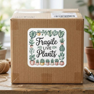 Pegatina Cuadrada Planta de Interior Pequeña Empresa Plantas Vivas F