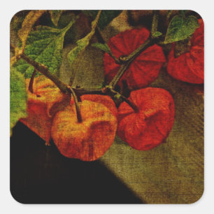 Pegatina Cuadrada Planta De Linternas Chinas Con Fruta