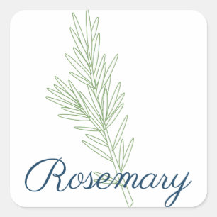 Pegatina Cuadrada Planta Rosemary