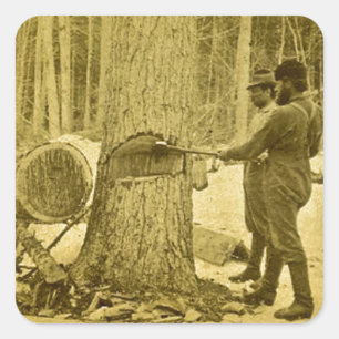 Pegatina Cuadrada Plantaciones de piñas de los hermanos Saginaw MI