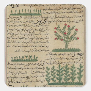 Pegatina Cuadrada Plantas botánicas, ilustracion del '