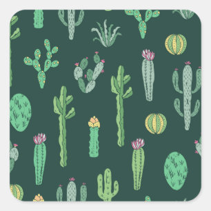 Pegatina Cuadrada Plantas Cactus: fondo vintage sin foco