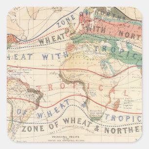 Pegatina Cuadrada Plantas de distribución