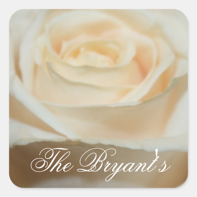 Pegatina Cuadrada Plantilla de Pegatinas de rosa blanca cremosa (Anverso)