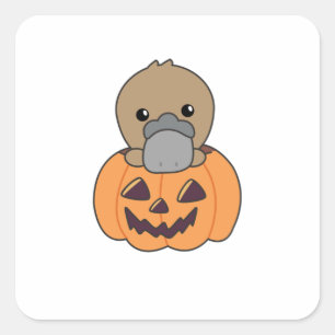Pegatina Cuadrada Platypus En Calabaza Dulces Animales Felices Hallo