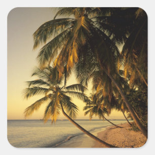 Pegatina Cuadrada Playa al atardecer, Trinidad