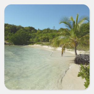 Pegatina Cuadrada Playa Antigua Hermoso Paisaje Tropical