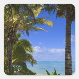 Pegatina Cuadrada Playa bordeada de palmeras Islas Cook 2