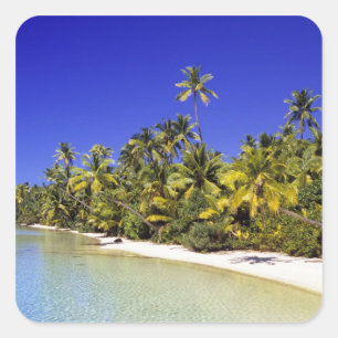 Pegatina Cuadrada Playa bordeada de palmeras Islas Cook 6