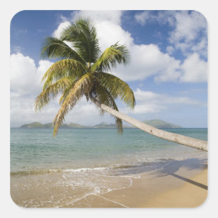Pegatina Cuadrada Playa Coconut Grove en Cades Bay, con St.