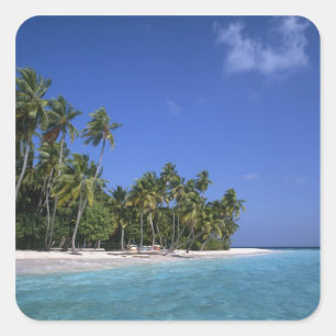 Pegatina Cuadrada Playa con palmeras, Maldivas