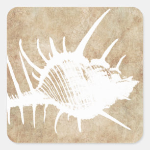 Pegatina Cuadrada Playa de Seahell del Océano Blanco Vintage