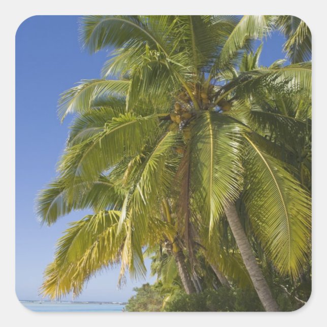 Pegatina Cuadrada Playa en la isla de un pie, Aitutaki, Islas Cook (Anverso)