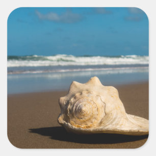 Pegatina Cuadrada Playa futura