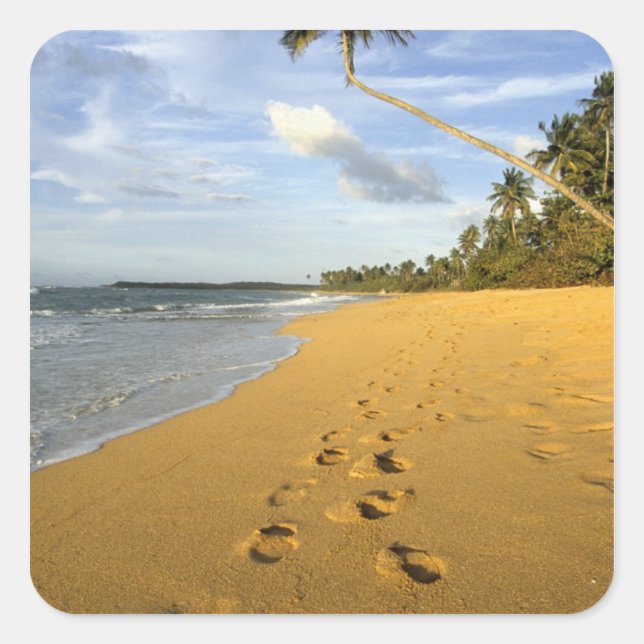 Pegatina Cuadrada Playa Puerto Rico (Anverso)