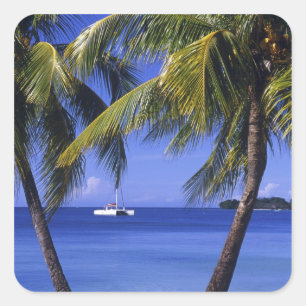 Pegatina Cuadrada Playas en Negril, Jamaica