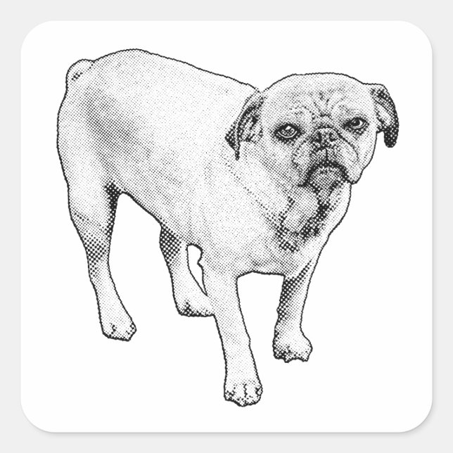 Pegatina Cuadrada Playful Manga Dotted Sticker For Creative Surfaces (Anverso)