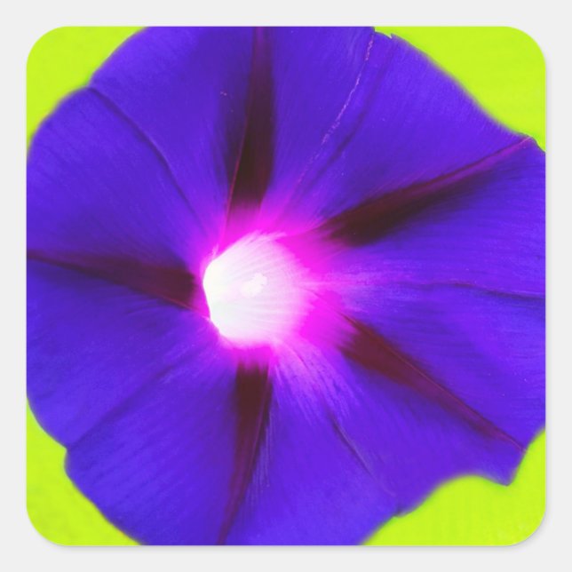 Pegatina Cuadrada Plaza Floral (Anverso)
